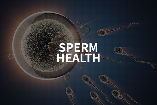 Sperm Health