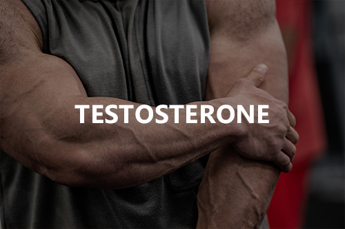 Testosterone