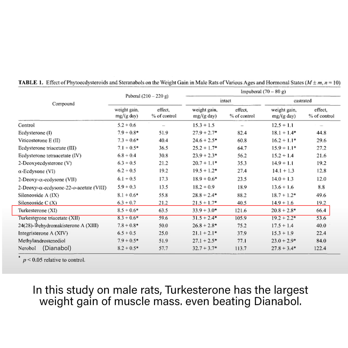 Turkesterone Capsules 10% Standardisation - Natural Steroid To Build Muscle & Gain Strength